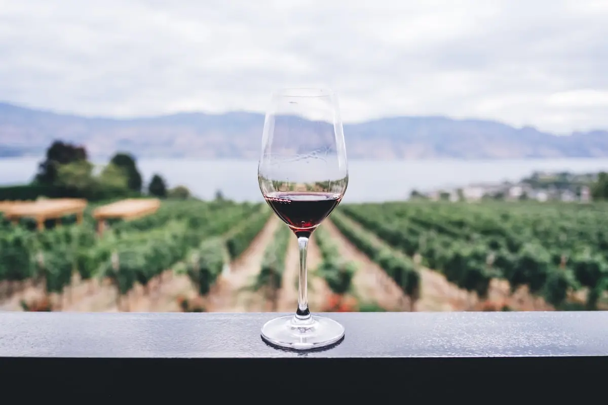 Vignoble des Cimes
