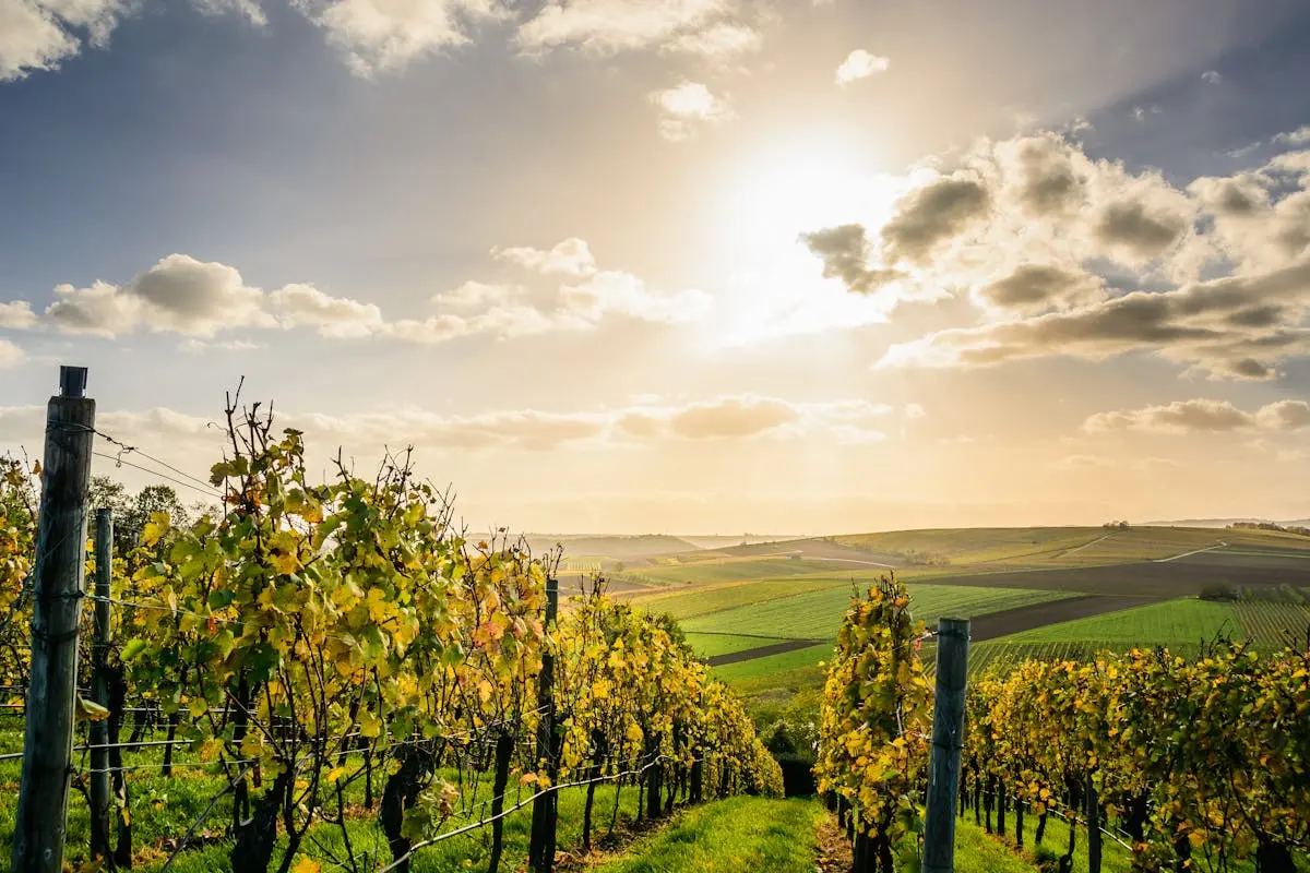Domaine des Alpes